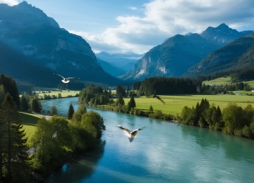 Why the soil is colorful